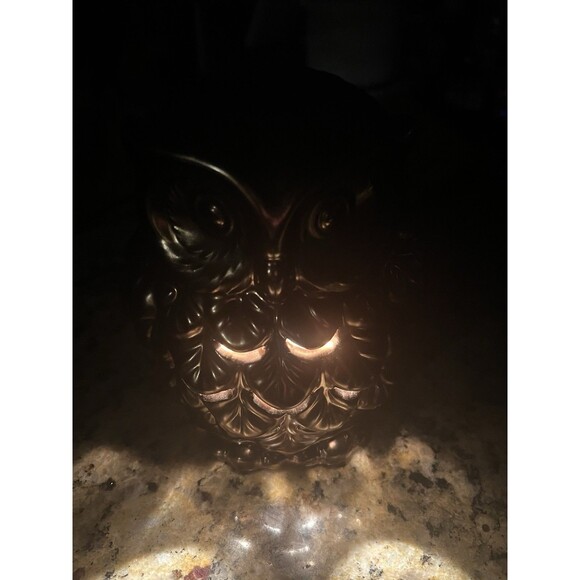 Better Homes Gardens Owl Wax Warmer Gold Electric Fall Cottagecore Decor - Picture 10 of 11